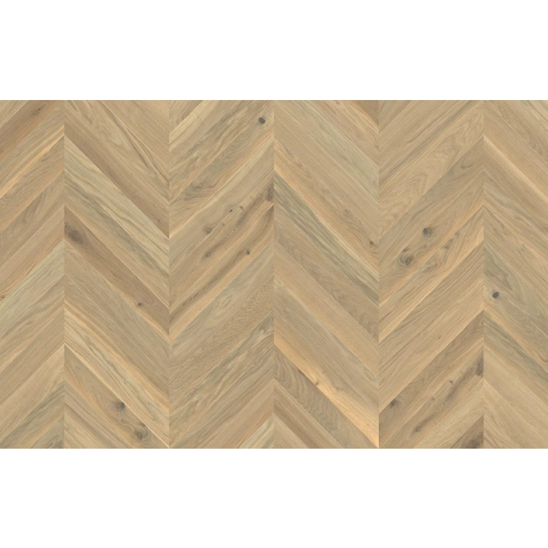 Jawor-Parkiet FertigParkiet Chevron Jodełka Francuska Dąb Color Avorio Elegance FusionHybrid, Szczotka, Faza V4