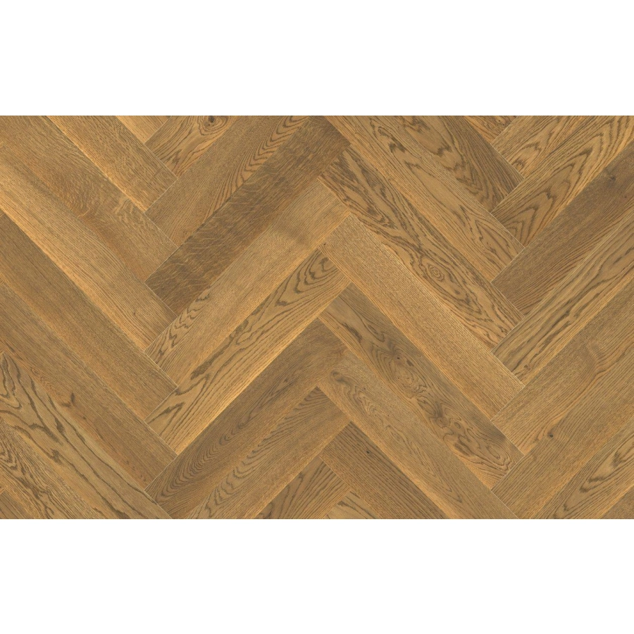 Jawor-Parkiet Design Experience Maxi + Jodełka Klasyczna Dąb Color Oro Elegance Olejowosk, Szczotka, Faza V4